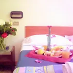Criss Hotel 3*